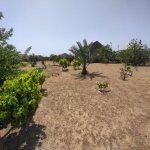 Satılır 3 otaqlı Həyət evi/villa, Türkan, Xəzər rayonu 8