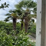 Satılır 7 otaqlı Həyət evi/villa Ağdaş 7