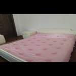 Kirayə (günlük) 4 otaqlı Bağ evi Quba 8