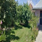 Kirayə (günlük) 3 otaqlı Həyət evi/villa Qəbələ 3