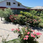 Satılır 6 otaqlı Həyət evi/villa Qax 16