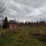 Satılır Torpaq, Masazır, Abşeron rayonu 6
