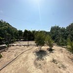 Satılır Torpaq, Şüvəlan, Xəzər rayonu 1