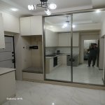 Аренда 2 комнатная Новостройка, м. Гянджлик метро, Наримановский р-н район 11