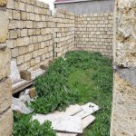 Satılır Torpaq, Saray, Abşeron rayonu 2