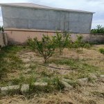 Satılır Torpaq, Türkan, Xəzər rayonu 17