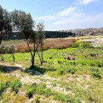 Продажа Участок, Мехдиабад, Абшерон район 14