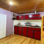 Kirayə (günlük) 2 otaqlı Həyət evi/villa Qəbələ 9