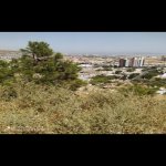 Продажа Участок, пос. Бадамдар, Сябаиль район 2