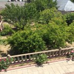 Kirayə (aylıq) 4 otaqlı Bağ evi, Novxanı, Abşeron rayonu 5