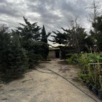 Satılır Torpaq, Novxanı, Abşeron rayonu 1