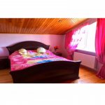 Kirayə (aylıq) 5 otaqlı Bağ evi, Xəzər rayonu 10