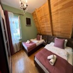 Kirayə (günlük) 6 otaqlı Həyət evi/villa Qəbələ 12