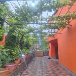 Kirayə (günlük) 5 otaqlı Həyət evi/villa Quba 3