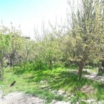 Продажа 3 комнат Дома/Виллы, пос. Бадамдар, Сябаиль район 2