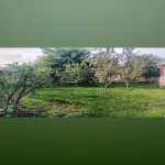 Satılır 5 otaqlı Həyət evi/villa Qəbələ 4