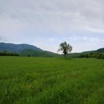 Продажа Участок Исмаиллы 16