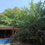 Kirayə (aylıq) 9 otaqlı Həyət evi/villa, Gənclik metrosu, Nərimanov rayonu 31