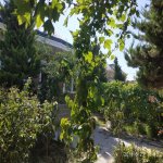 Satılır 3 otaqlı Həyət evi/villa, Masazır, Abşeron rayonu 2
