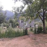Kirayə (günlük) 3 otaqlı Bağ evi İsmayıllı 1
