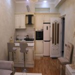 Kirayə (günlük) 2 otaqlı Yeni Tikili, Nəsimi metrosu, 3-cü mikrorayon, Nəsimi rayonu 5