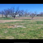 Satılır Torpaq Xaçmaz 2