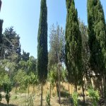 Продажа 5 комнатная Дача, Туркян, Хязяр район 5