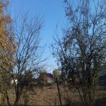 Продажа Участок Исмаиллы 4