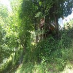 Kirayə (günlük) 5 otaqlı Həyət evi/villa Lerik 12