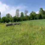 Satılır Torpaq Qəbələ 3