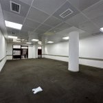 Kirayə (aylıq) 11 otaqlı Ofis, Nəsimi rayonu 5
