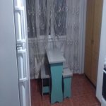 Kirayə (aylıq) 1 otaqlı Köhnə Tikili, Gənclik metrosu, Ayna Sultanova heykəli, Nərimanov rayonu 8
