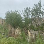 Satılır Torpaq, Lökbatan qəs., Qaradağ rayonu 18