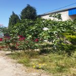Satılır 4 otaqlı Həyət evi/villa, Binə qəs., Xəzər rayonu 19