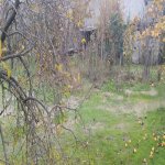 Satılır 3 otaqlı Həyət evi/villa, Şüvəlan, Xəzər rayonu 16