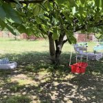 Kirayə (günlük) 3 otaqlı Həyət evi/villa Quba 17