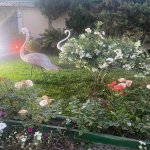 Satılır 9 otaqlı Həyət evi/villa, Novxanı, Abşeron rayonu 21