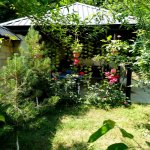 Kirayə (günlük) 4 otaqlı Bağ evi Qusar 33