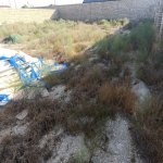 Продажа Участок, Зиря, Гянджлик Малл, Хязяр район 4