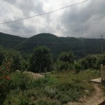 Kirayə (günlük) 2 otaqlı Həyət evi/villa Quba 5