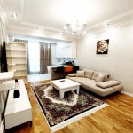 Kirayə (aylıq) 2 otaqlı Yeni Tikili, 28 May metrosu, Nəsimi rayonu 2
