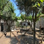 Kirayə (günlük) 2 otaqlı Bağ evi, Mərdəkan, Xəzər rayonu 19