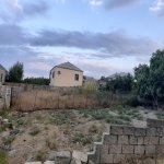 Satılır Torpaq, Saray, Abşeron rayonu 7