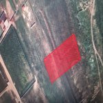 Продажа Участок, Мехдиабад, Абшерон район 9