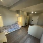 Аренда 5 комнат Новостройка, м. Гянджлик метро, Насими район 10