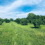 Продажа Участок Гябяля 5