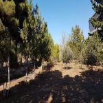 Satılır 2 otaqlı Bağ evi, Mərdəkan, Xəzər rayonu 3