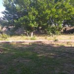 Kirayə (aylıq) 5 otaqlı Bağ evi, Novxanı, Abşeron rayonu 17