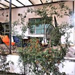 Kirayə (aylıq) 5 otaqlı Bağ evi, Mərdəkan, Xəzər rayonu 1
