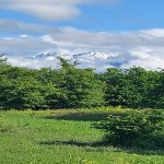 Satılır Torpaq Qəbələ 2